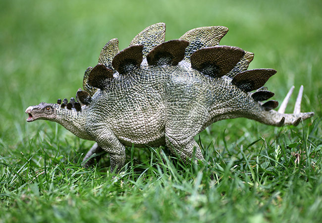 stegosaurus feet